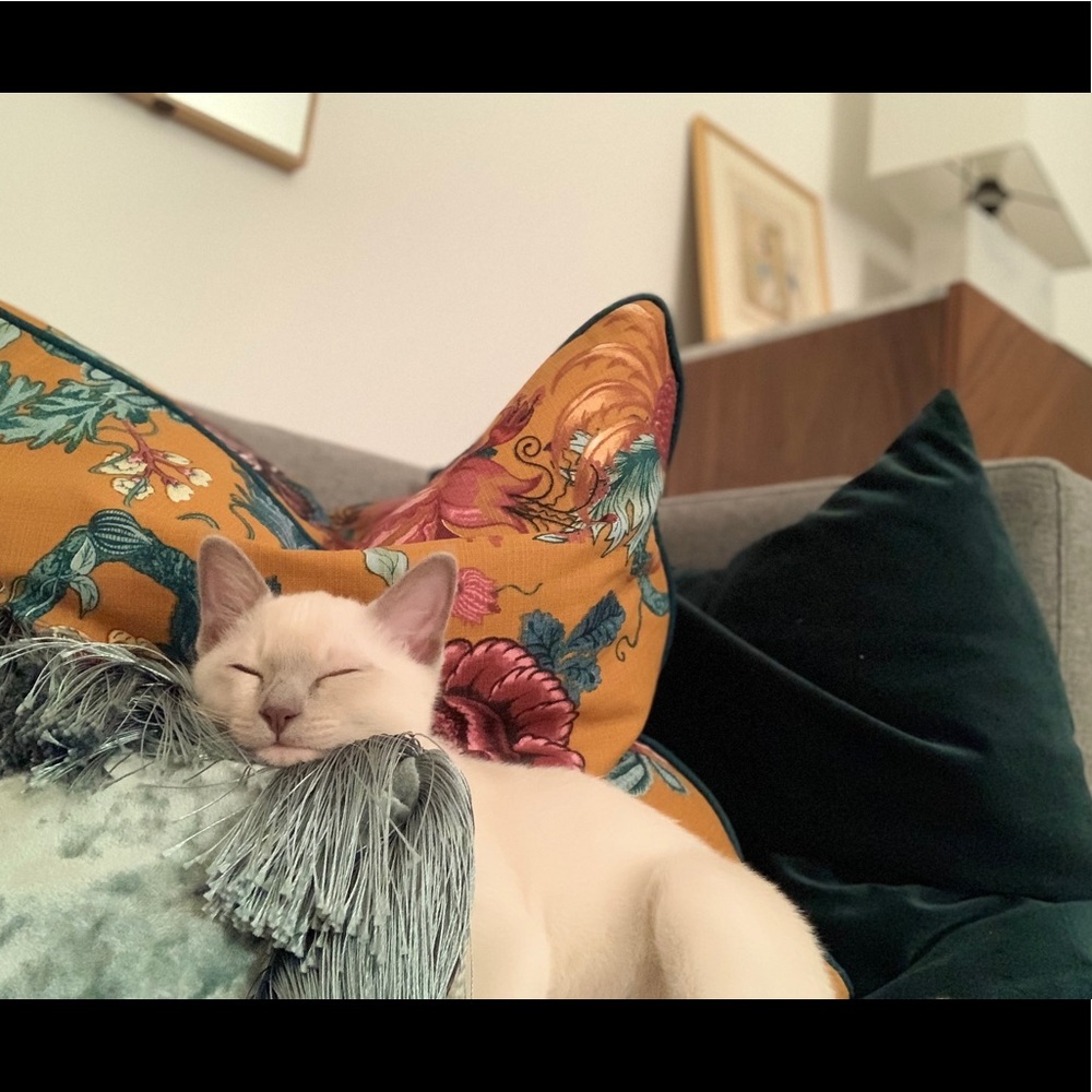 Meet your Posher, Duygu